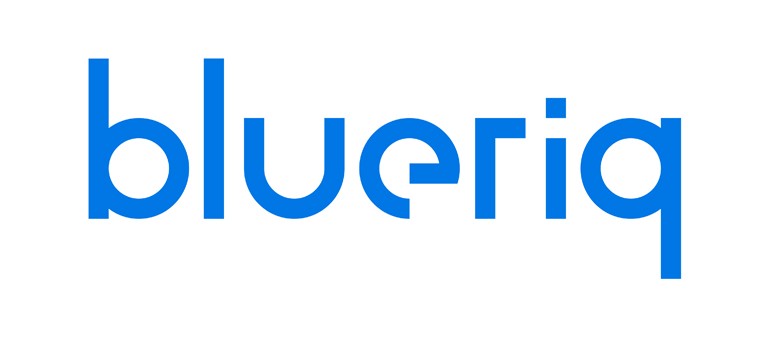 Logo - Blueriq
