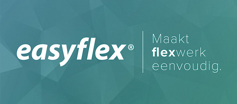 Logo - Easyflex Software